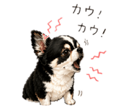 844890761