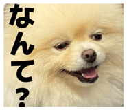 844890880