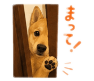 844891246
