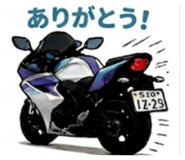 844891253