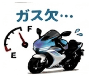 844891255