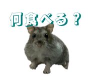 844891802