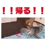 844891805
