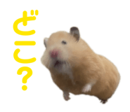 844891806