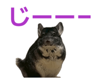 844891818