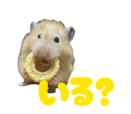844891820