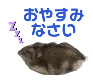 844891835