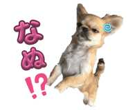844891874