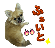 844891893