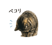 844892001