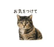 844892003