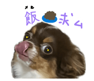 844892025