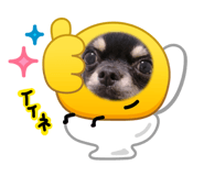 844892027