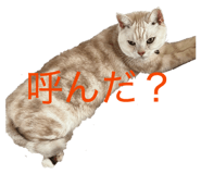 844892217
