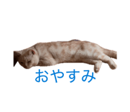 844892218