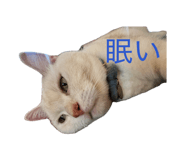844892219