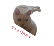 844892220