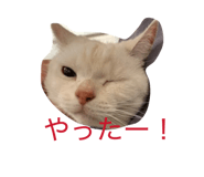 844892223