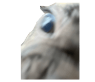 844892369