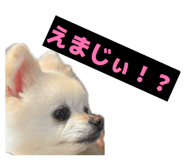 844892548