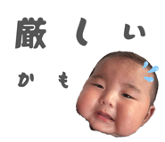 844892646