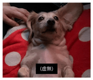 844892906