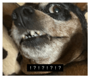 844892916
