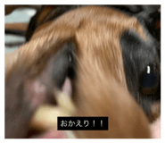 844892918