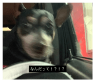 844892926