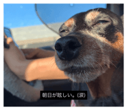 844892930
