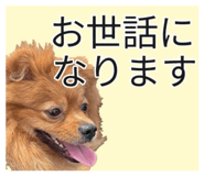 844893018