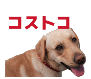 844893544