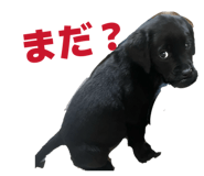 844893545