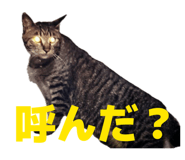 844893550