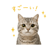 844893569
