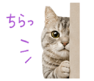 844893579