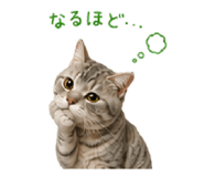 844893583