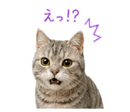 844893586
