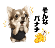 844893717