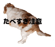 844893758