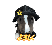 844893931