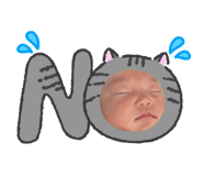 844894018