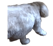 844894282