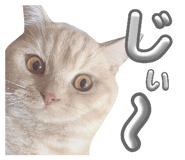 844894330