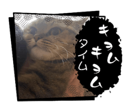 844894332