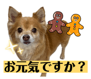 844894743