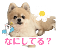 844894744