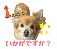 844894745