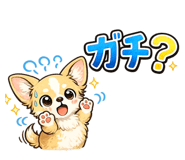 844896457