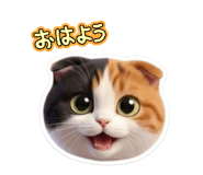 844896521